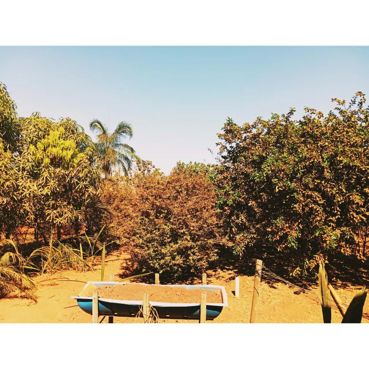 Imagem 3 - Casa em Mansões Riviera Parque, Hidrolândia - GO