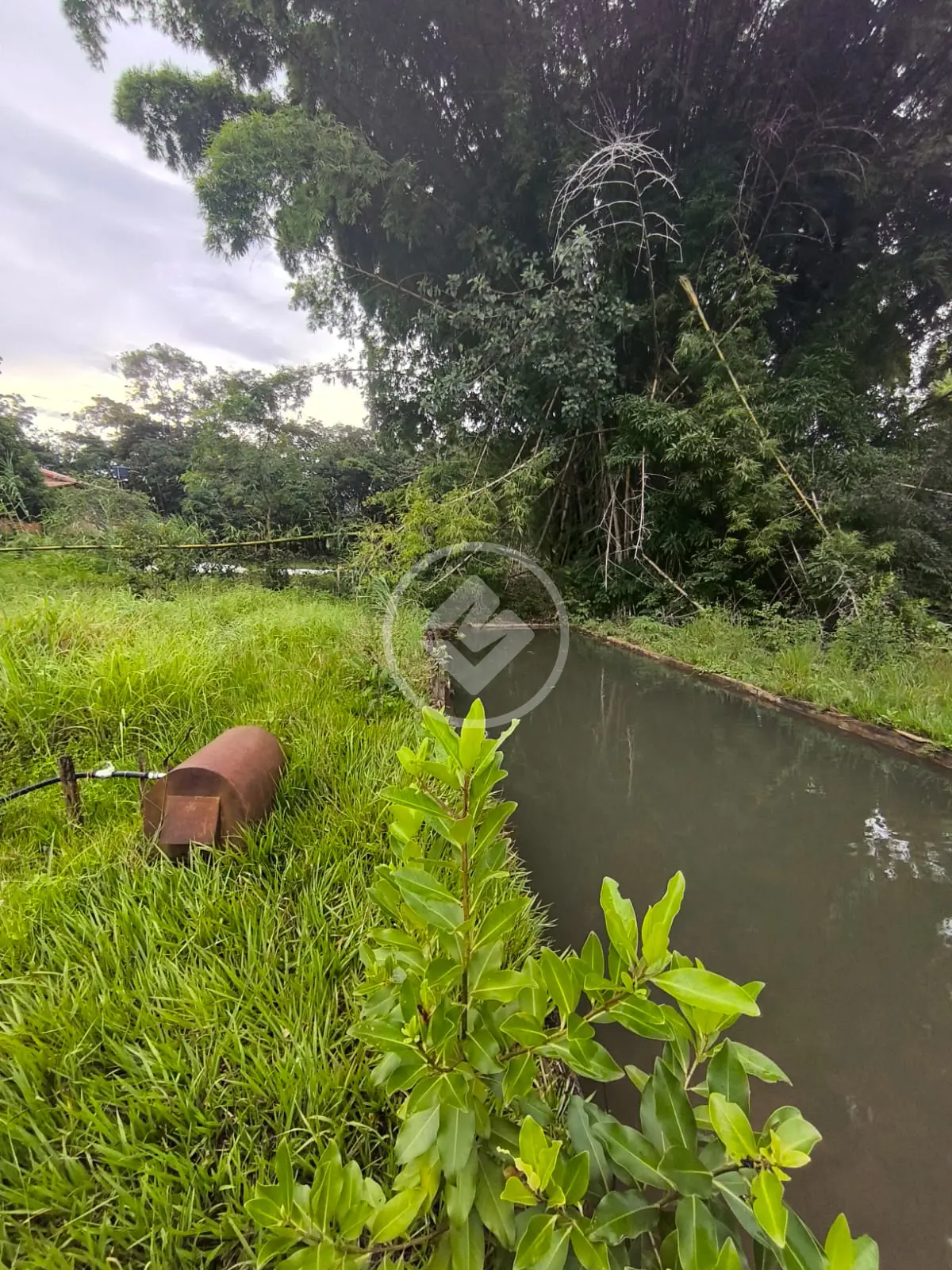 Imagem 5 - Chácara em Triângulo 03, Hidrolândia - GO