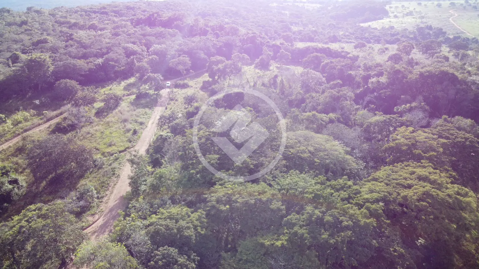 Imagem 3 - Chácara em Zona Rural Hidrolandia, Hidrolândia - GO