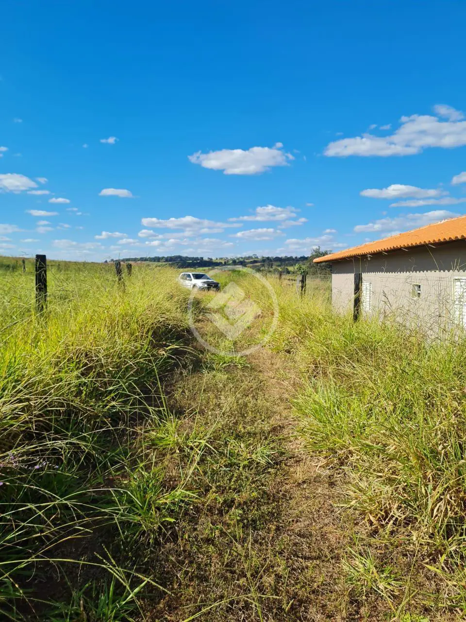 Imagem 4 - Chácara em Zona Rural, Professor Jamil - GO
