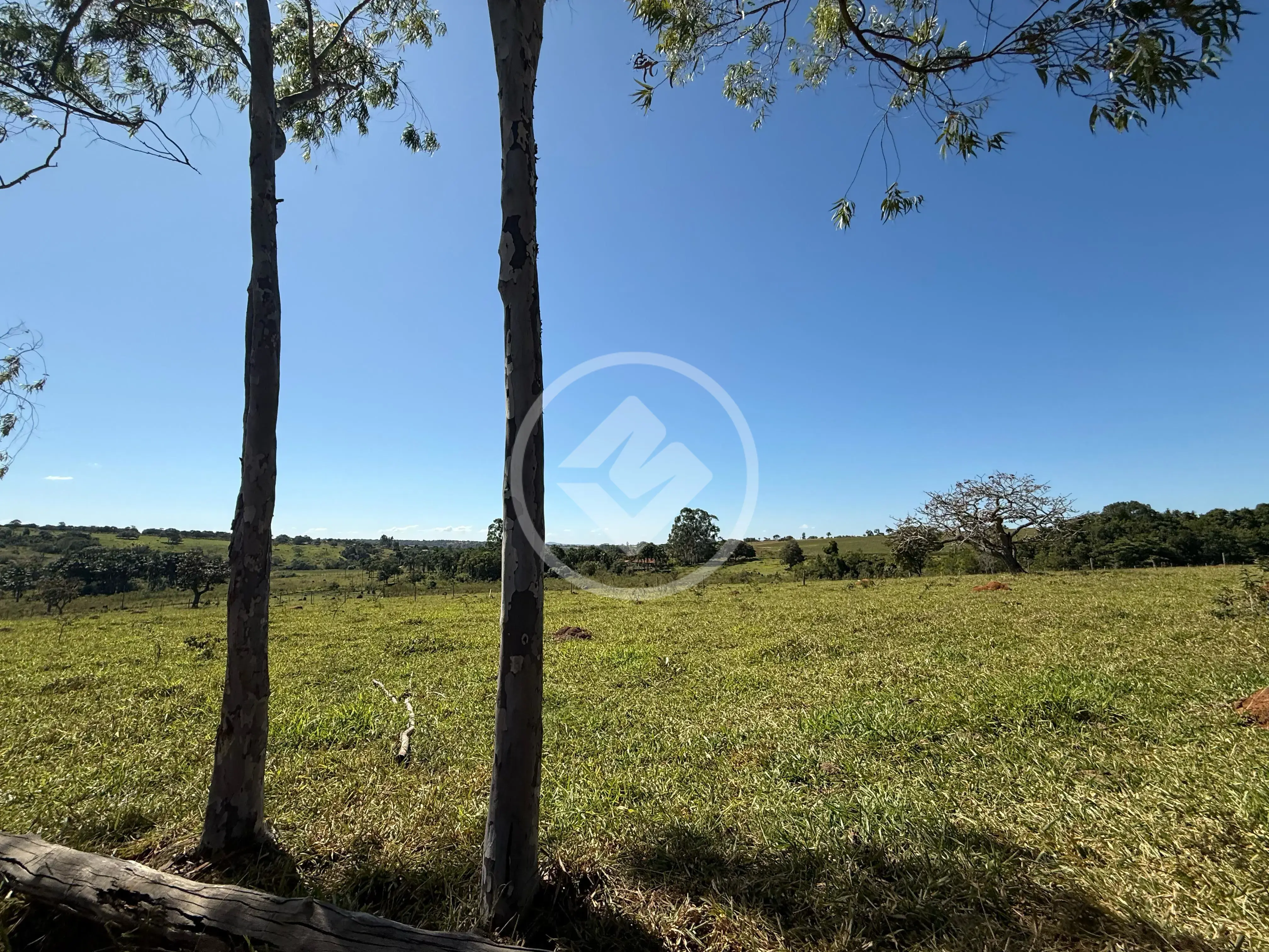 Imagem 1 - Fazenda em Zona Rural Hidrolandia, Hidrolândia - GO