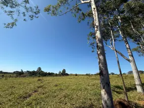 Fazenda Zona Rural Hidrolandia, Hidrolândia - GO — foto 2