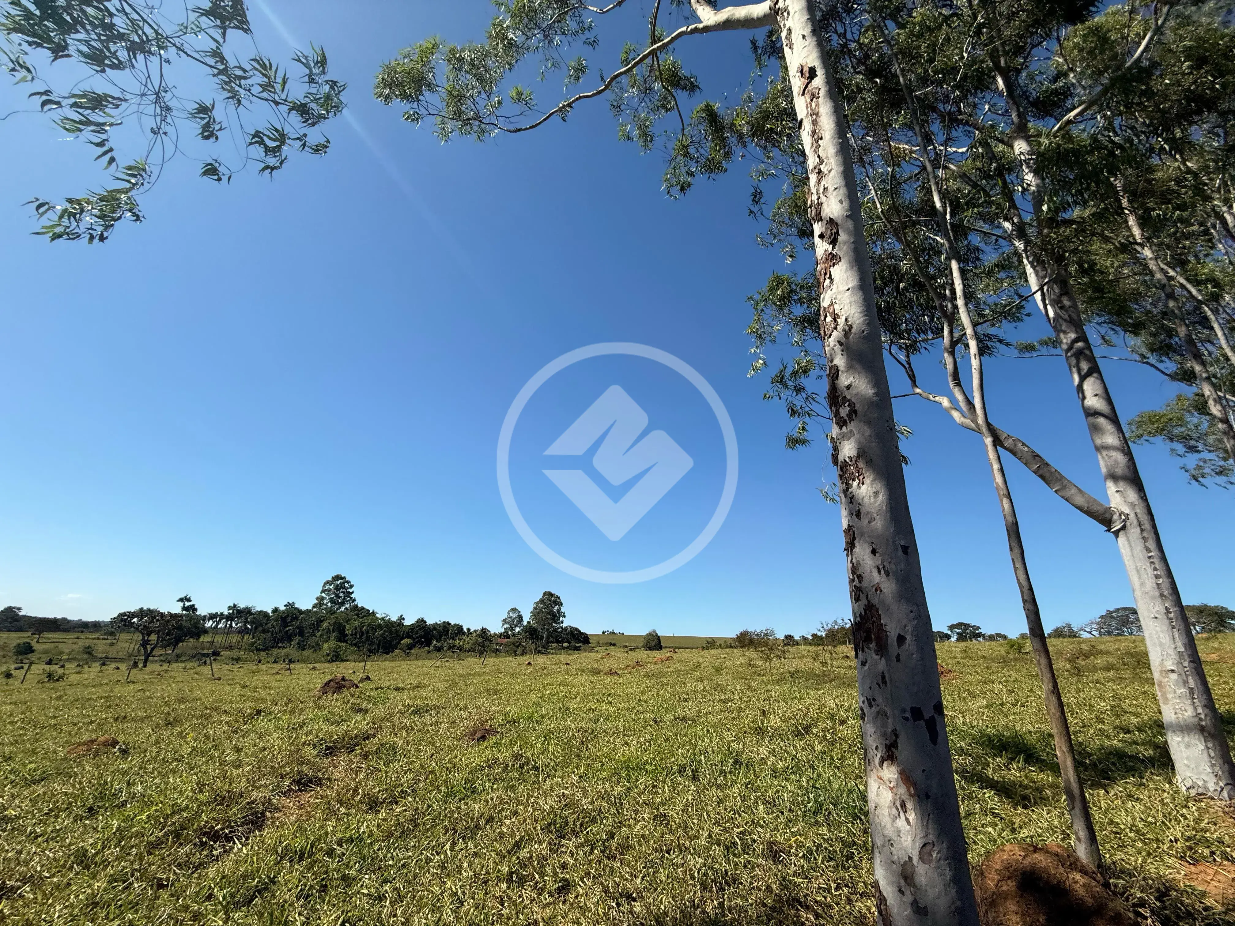 Image 2 - Fazenda em Zona Rural Hidrolandia, Hidrolândia - GO