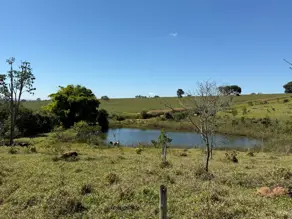 Imagem 4 - Fazenda em Zona Rural Hidrolandia, Hidrolândia - GO