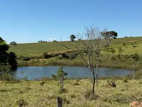 Imagem 6 - Fazenda em Zona Rural Hidrolandia, Hidrolândia - GO