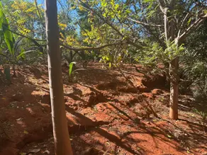 Imagem 4 - Chácara em Mansões Riviera Parque, Hidrolândia - GO