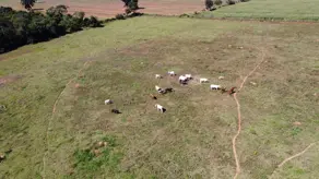 Imagem 3 - Chácara em Zona Rural, Bela Vista de Goiás - GO