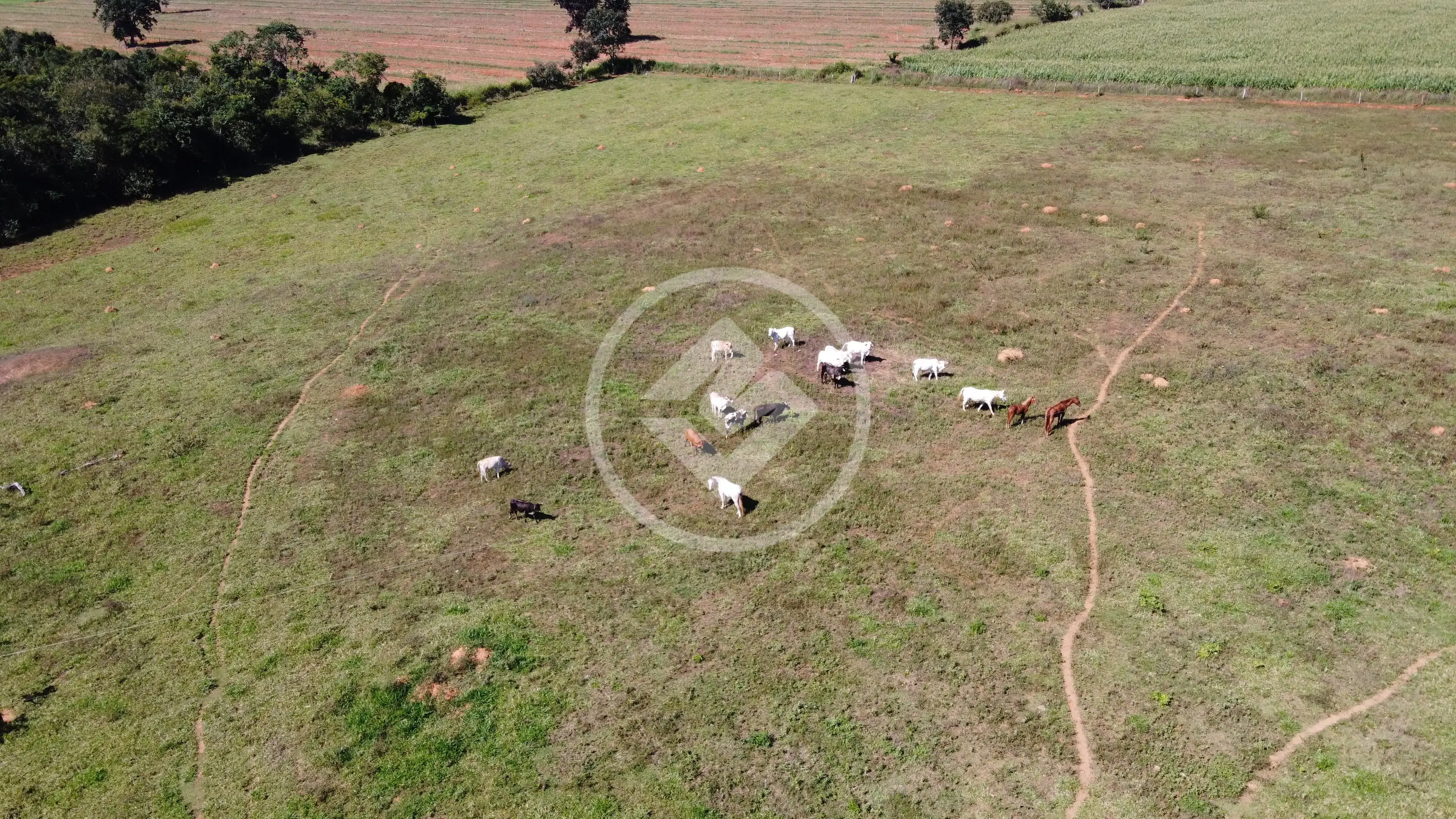 Imagem 3 - Chácara em Zona Rural, Bela Vista de Goiás - GO