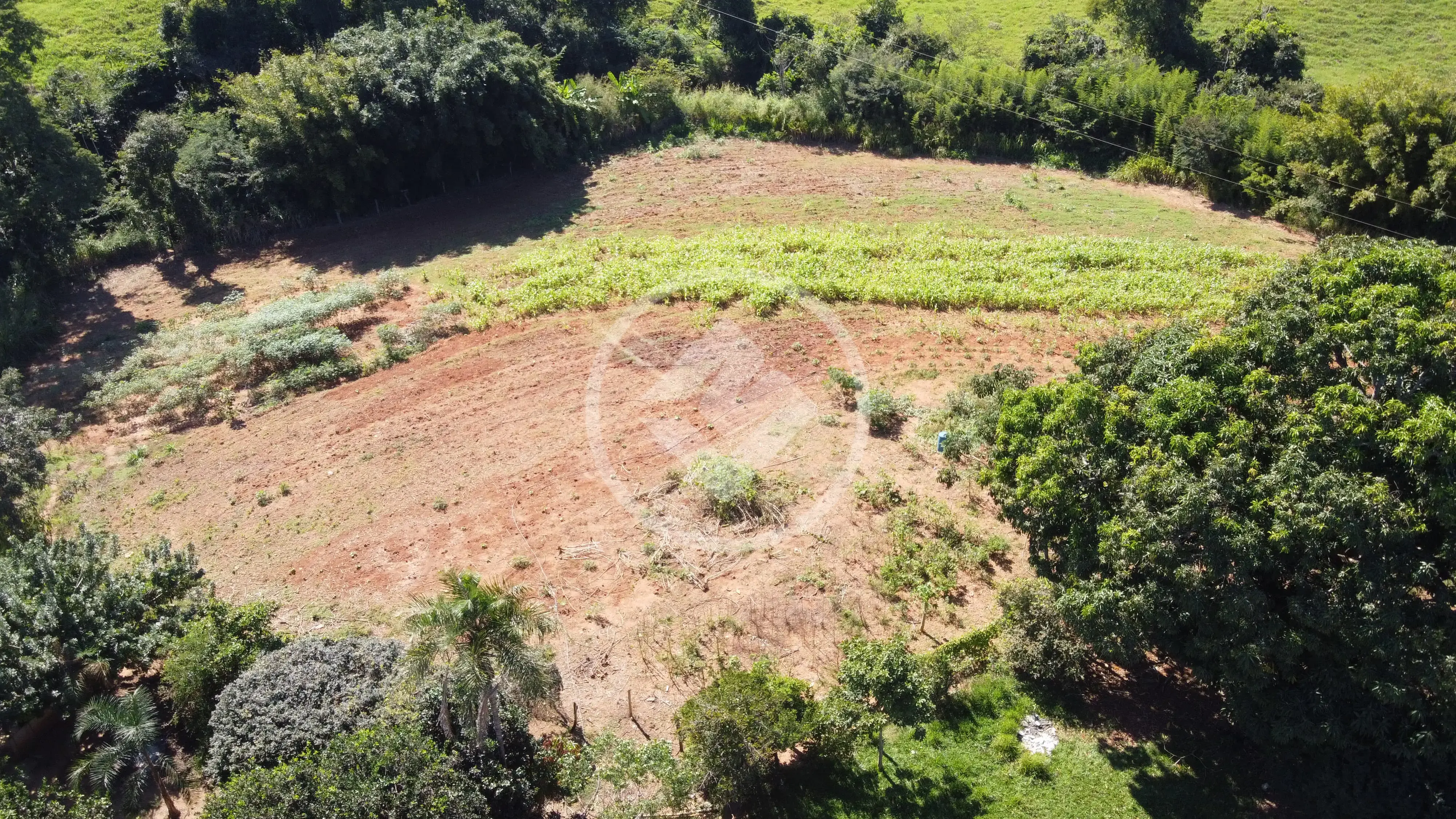 Imagem 4 - Chácara em Zona Rural, Bela Vista de Goiás - GO
