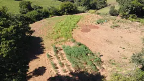 Imagem 6 - Chácara em Zona Rural, Bela Vista de Goiás - GO