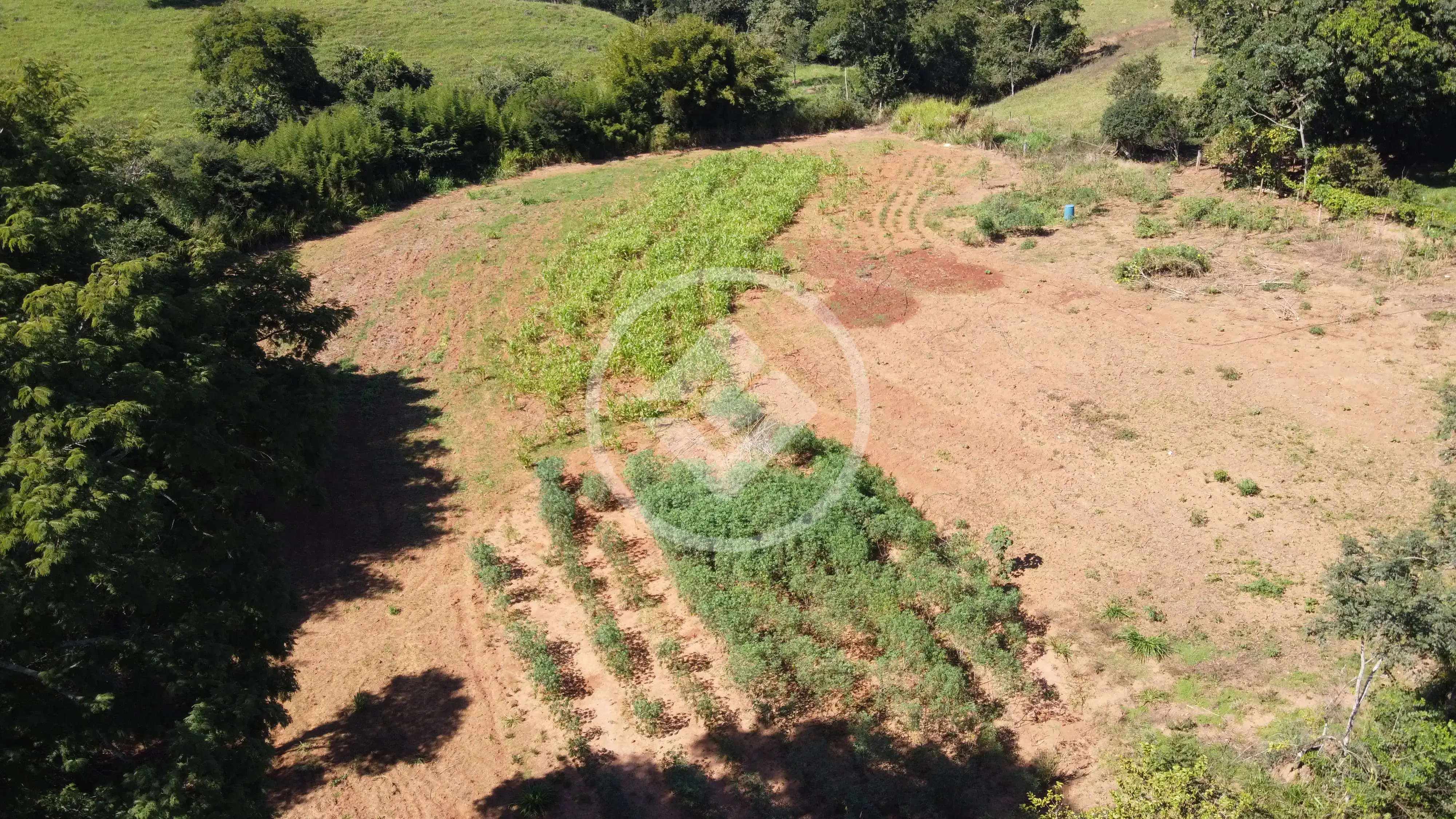 Imagem 6 - Chácara em Zona Rural, Bela Vista de Goiás - GO