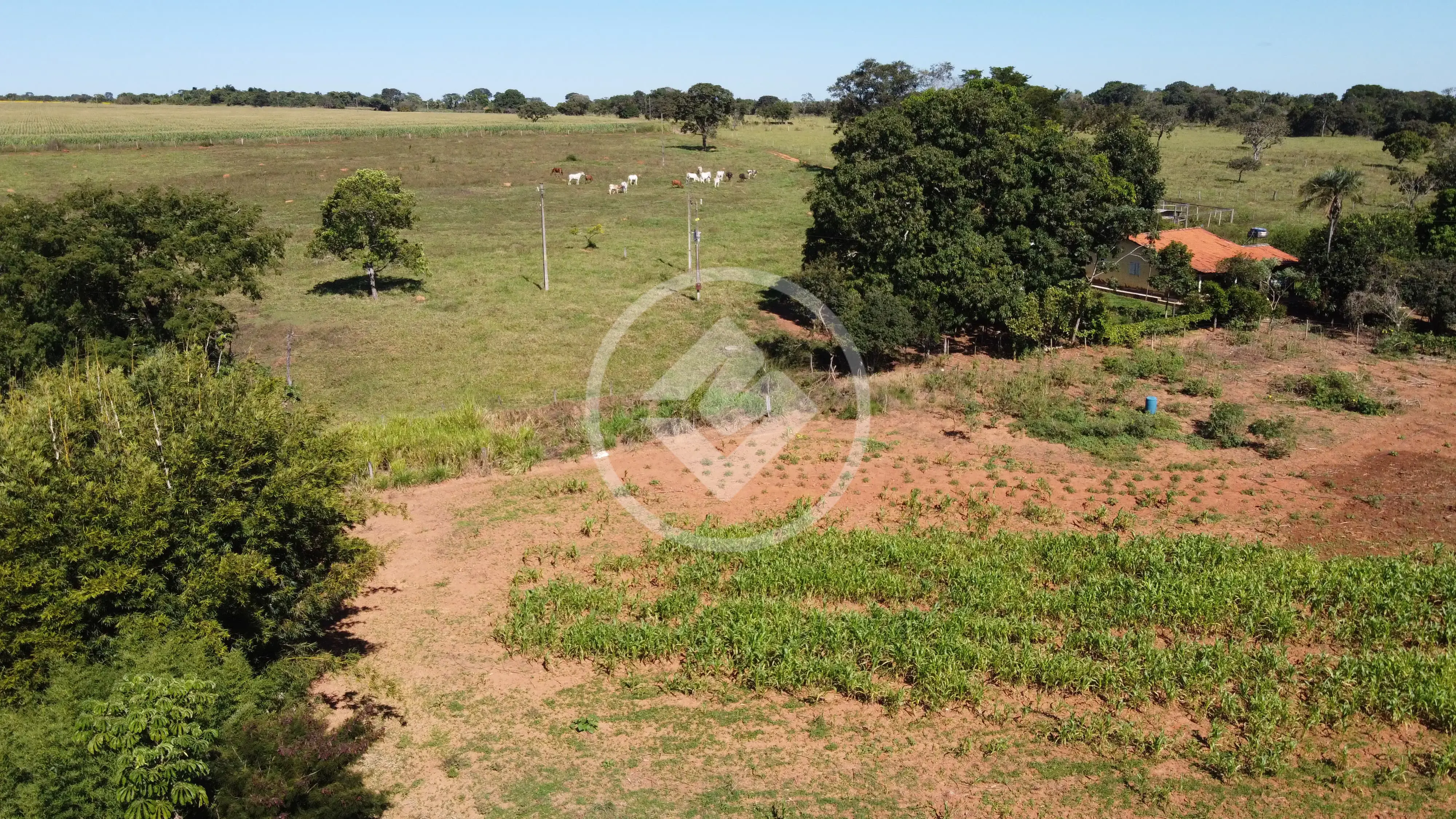 Image 13 - Chácara em Zona Rural, Bela Vista de Goiás - GO