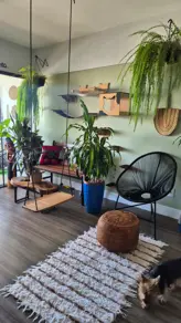 Apartamento Alto da Glória, Goiânia - GO — foto 2