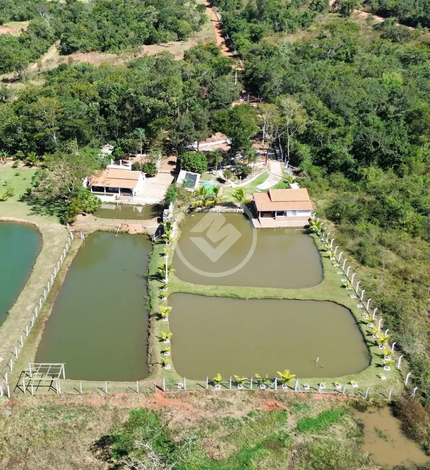 Imagem 1 - Chácara em Aréa Rural Aragoiânia, Aragoiânia - GO