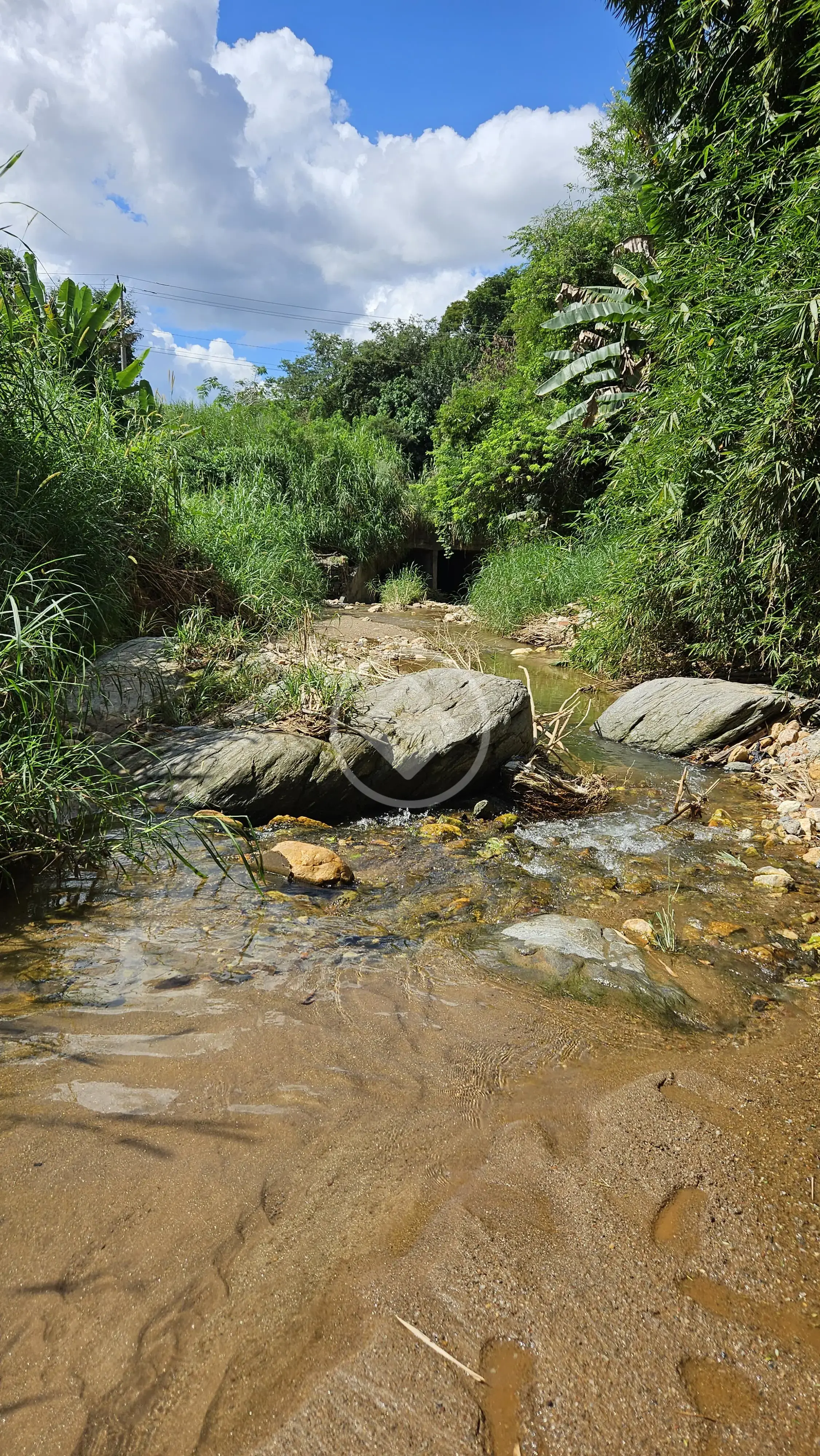 Image 2 - Chácara em JARDIM NOVO MUNDO, Goiânia - GO