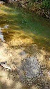 Imagem 4 - Chácara em JARDIM NOVO MUNDO, Goiânia - GO