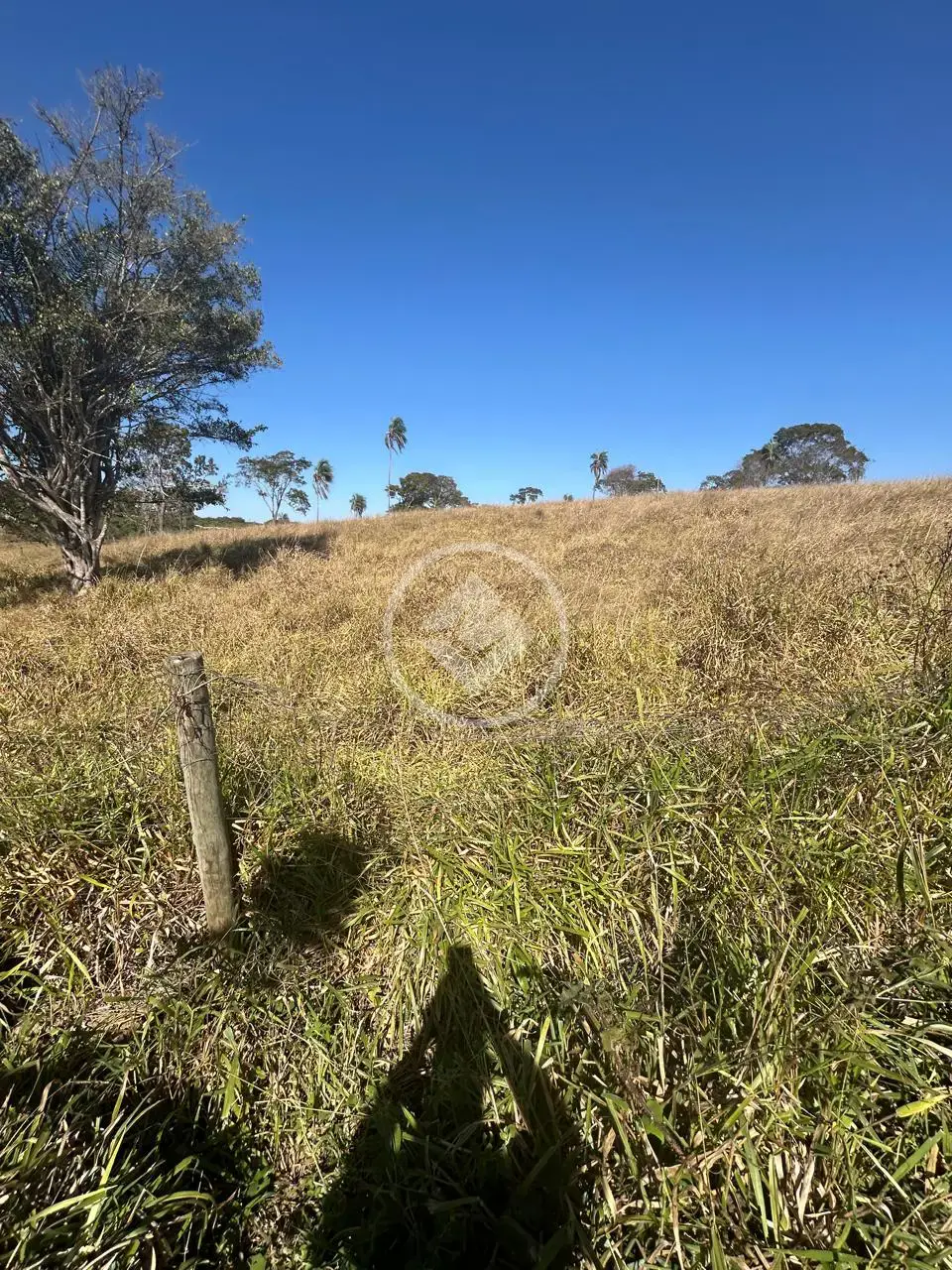 Imagem 6 - Chácara em Zona Rural Hidrolandia, Hidrolândia - GO