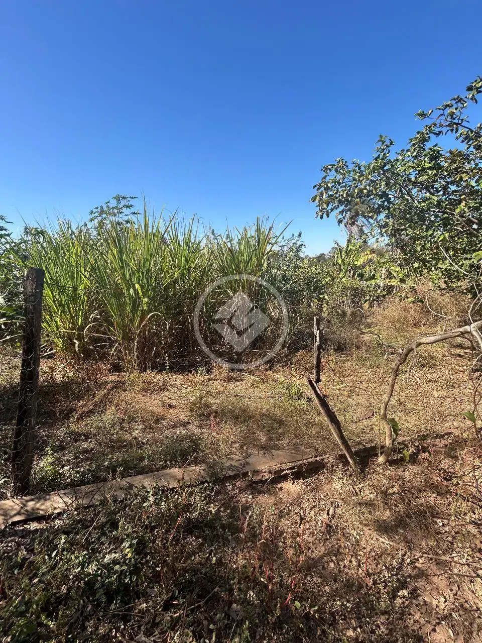 Image 12 - Chácara em Zona Rural Hidrolandia, Hidrolândia - GO