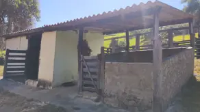 Imagem 3 - Fazenda em Varjão Zona Rural, Varjão - GO