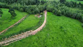 Imagem 2 - Fazenda em Aréa Rural Aragoiânia, Aragoiânia - GO