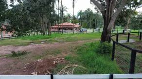 Imagem 3 - Fazenda em Aréa Rural Aragoiânia, Aragoiânia - GO