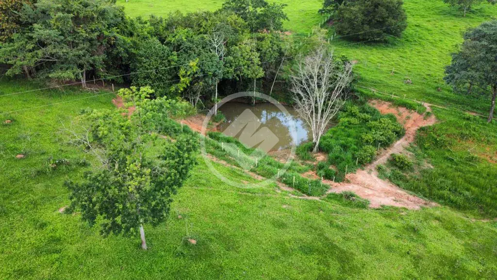 Image 15 - Fazenda em Aréa Rural Aragoiânia, Aragoiânia - GO