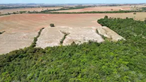 Imagem 6 - Chácara em Zona Rural Hidrolandia, Hidrolândia - GO