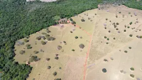 Imagem 3 - Chácara em Zona Rural Hidrolandia, Hidrolândia - GO