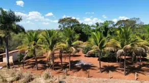 Imagem 4 - Chácara em Zona Rural Hidrolandia, Hidrolândia - GO