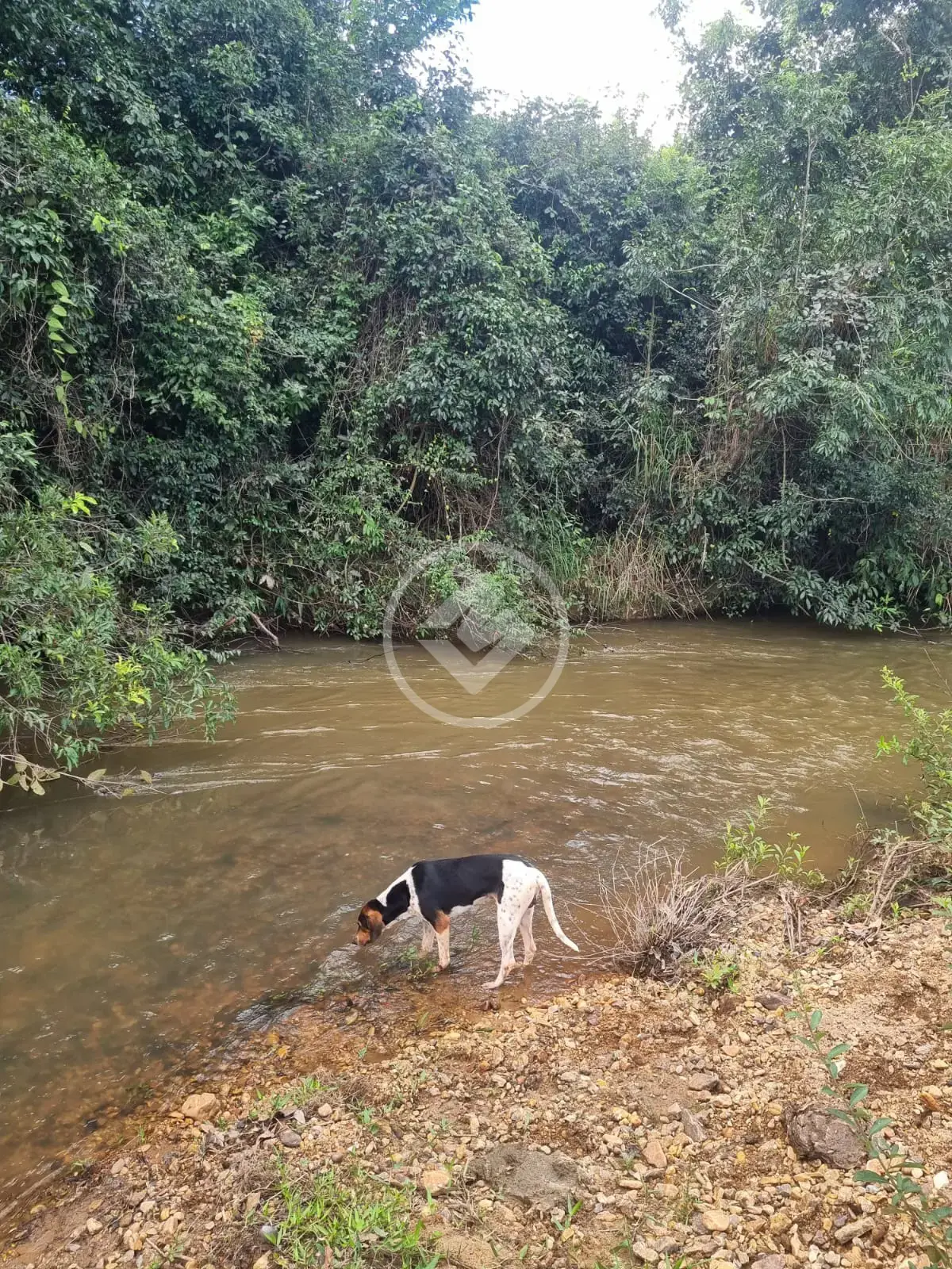 Imagem 6 - Chácara em Zona Rural, São Miguel do Passa Quatro - GO