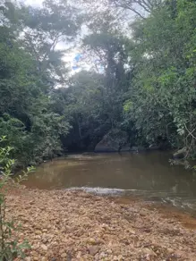 Imagem 5 - Chácara em Zona Rural, São Miguel do Passa Quatro - GO