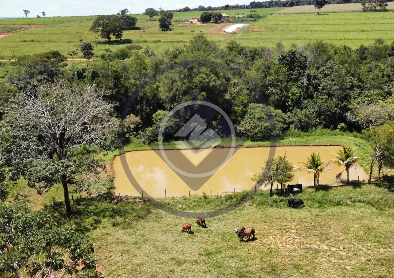 Image 2 - Chácara em Zona Rural Hidrolandia, Hidrolândia - GO