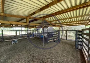 Imagem 6 - Chácara em Zona Rural Hidrolandia, Hidrolândia - GO