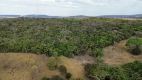 Imagem 3 - Fazenda em Zona Rural, Hidrolândia - GO