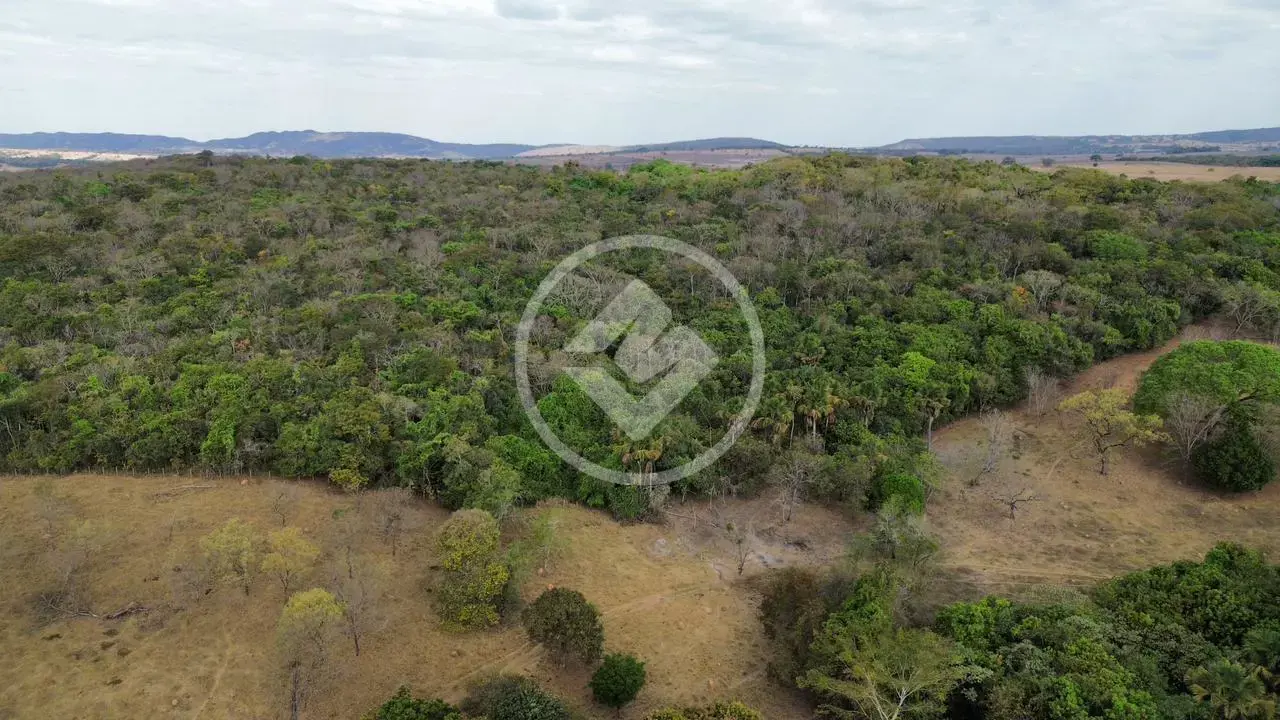Imagem 3 - Fazenda em Zona Rural, Hidrolândia - GO