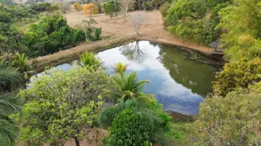 Imagem 6 - Fazenda em Zona Rural, Hidrolândia - GO