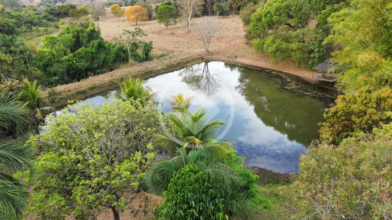Imagem 6 - Fazenda em Zona Rural, Hidrolândia - GO