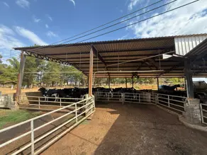 Fazenda Zona Rural Hidrolandia, Hidrolândia - GO — foto 2