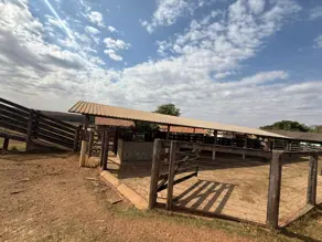 Imagem 6 - Fazenda em Zona Rural Hidrolandia, Hidrolândia - GO