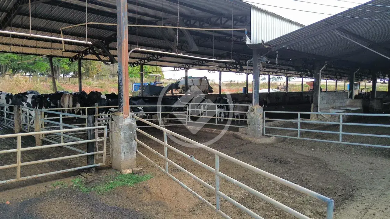Image 23 - Fazenda em Zona Rural Hidrolandia, Hidrolândia - GO