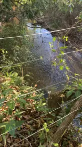 Imagem 2 - Chácara em Zona Rural Hidrolandia, Hidrolândia - GO