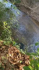 Chácara Zona Rural Hidrolandia, Hidrolândia - GO — foto 2
