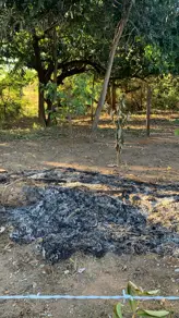 Imagem 5 - Chácara em Zona Rural Hidrolandia, Hidrolândia - GO