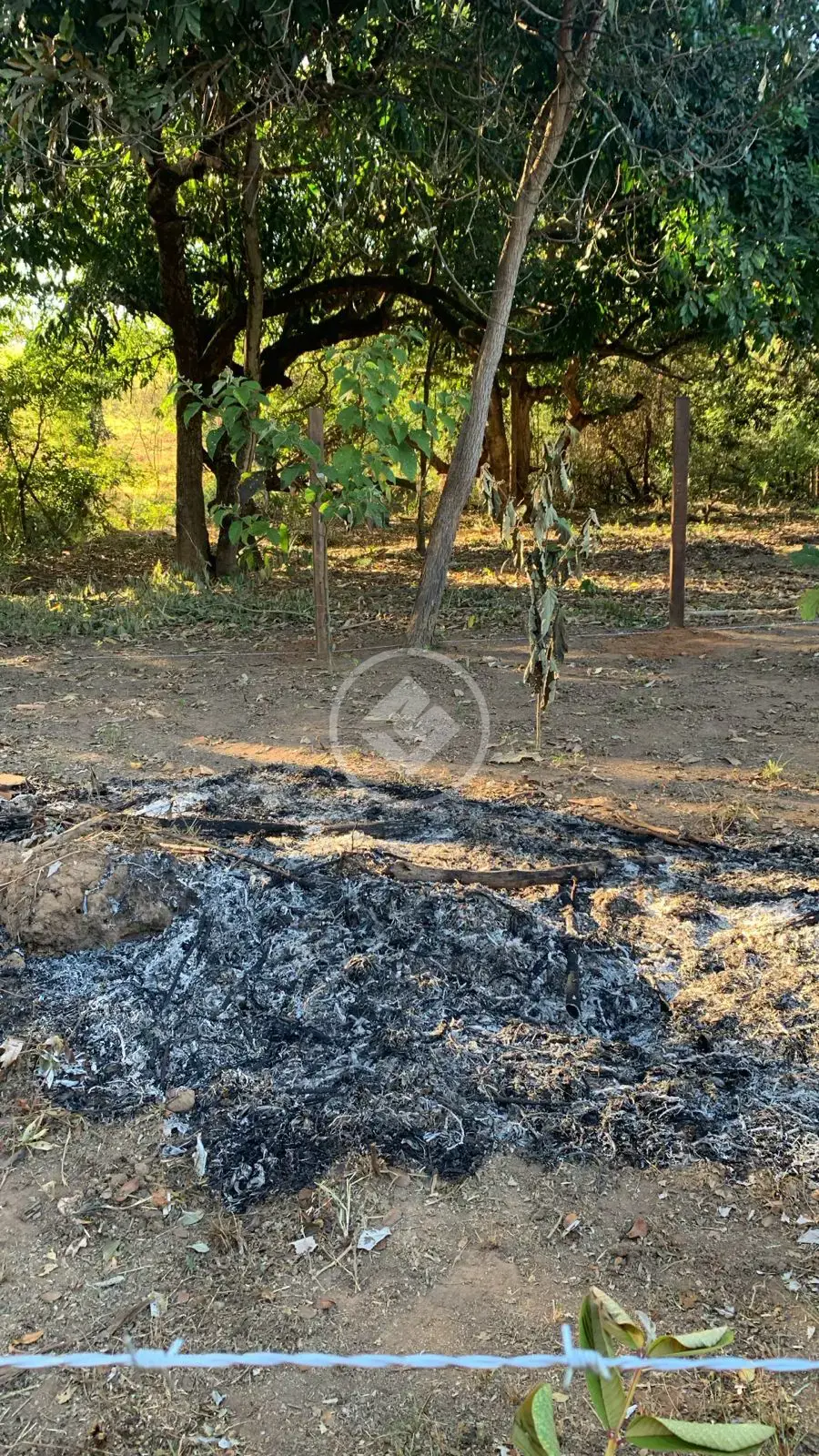 Image 6 - Chácara em Zona Rural Hidrolandia, Hidrolândia - GO