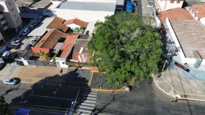 Sala Comercial Jardim América, Goiânia - GO — foto 2