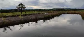 Imagem 2 - Sítio em Zona Rural, Cromínia - GO