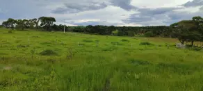 Sítio Zona Rural, Cromínia - GO — foto 2