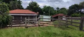 Imagem 4 - Sítio em Zona Rural, Cromínia - GO