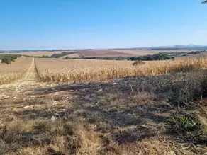 Fazenda Zona Rural, Caiapônia - GO — foto 2