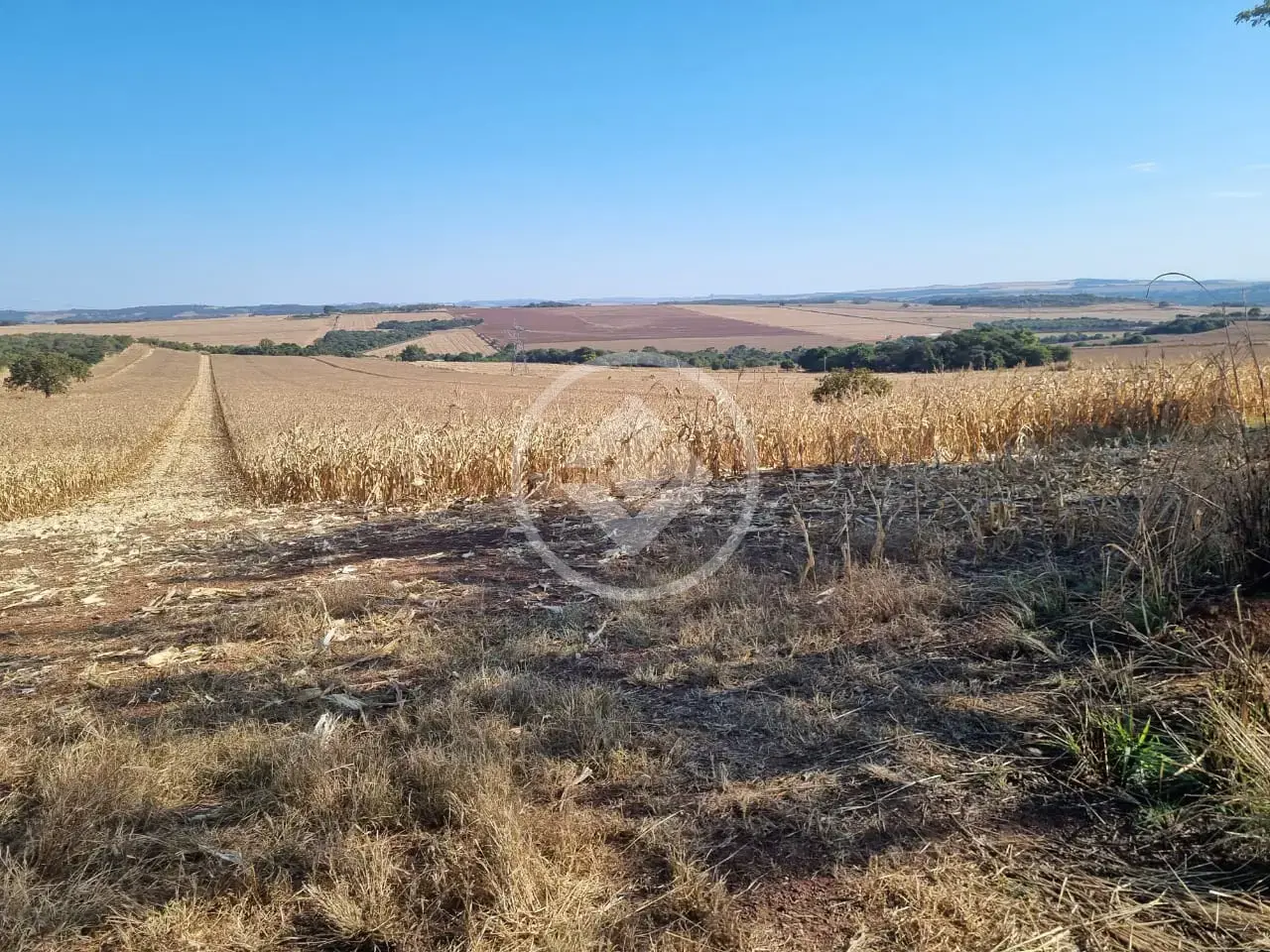 Image 2 - Fazenda em Zona Rural, Caiapônia - GO